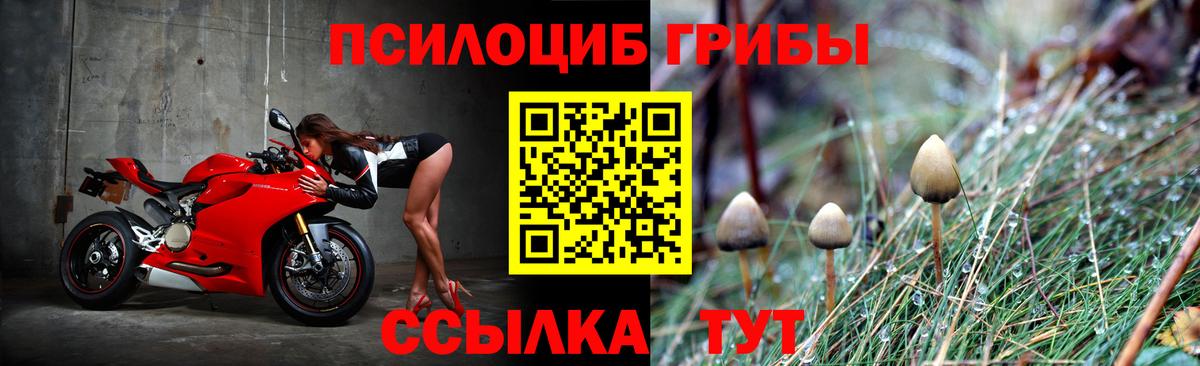 Галлюциногенные грибы Cubensis  Галлюциногенные грибы Psilocybine cubensis  сколько стоит  Крымск  Вход с VPN 